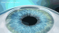 b61efbc3747b3356d98c123b28f2dc19_640_wx_fmt=gif&wxfrom=5&wx_lazy=1&wx_co=1.gif